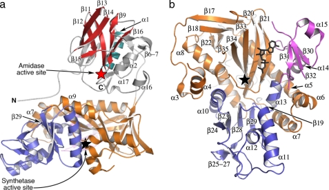 FIGURE 2.