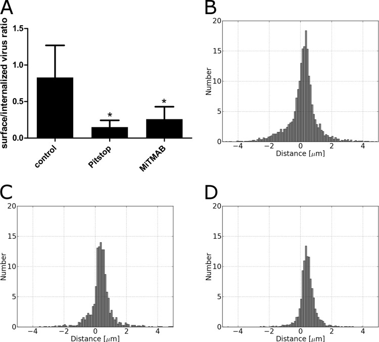 FIG 6