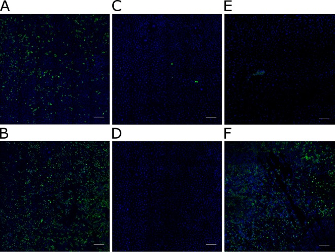 FIG 9