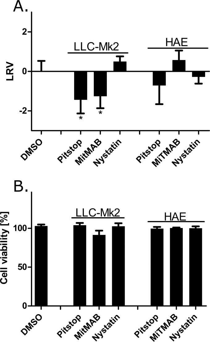 FIG 10