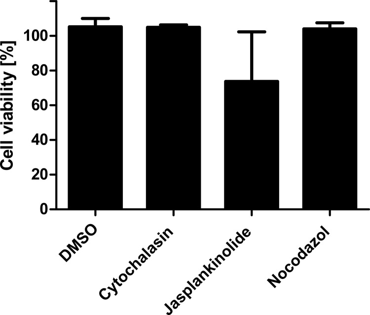 FIG 13