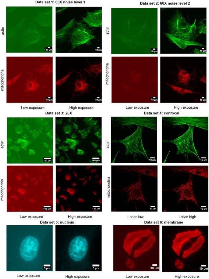Figure 1:
