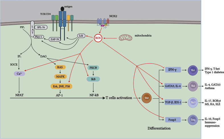 Figure 2