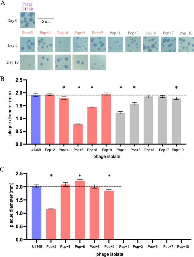 FIG 3