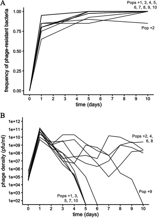 FIG 2