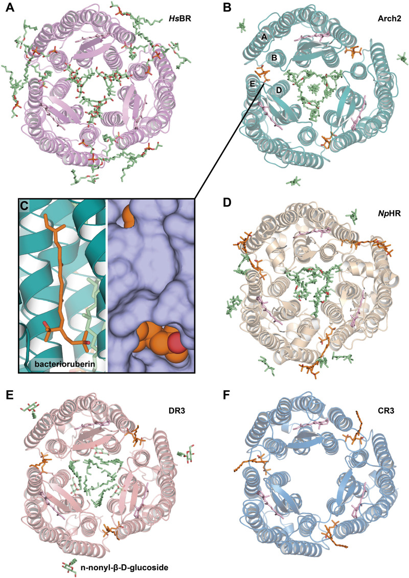 FIGURE 6