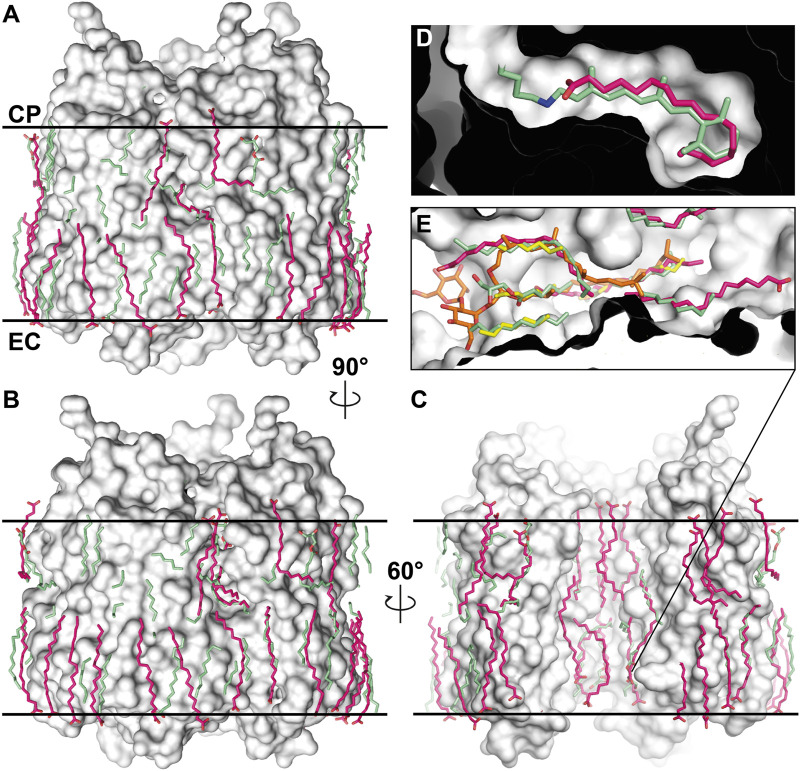 FIGURE 11