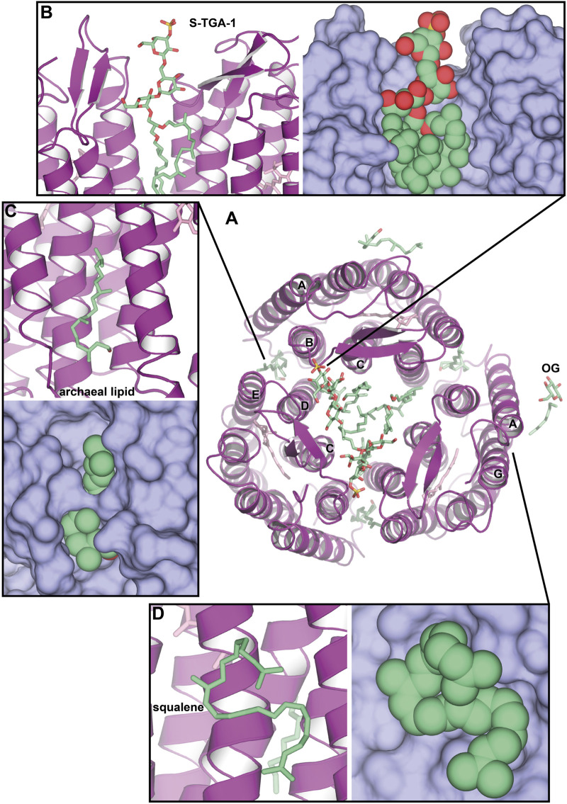 FIGURE 3