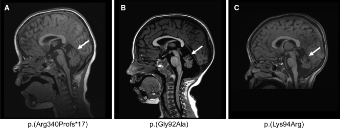 Figure 2