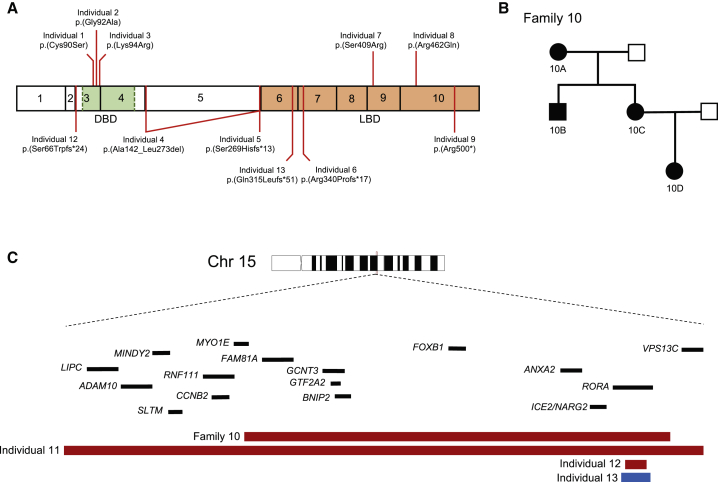 Figure 1