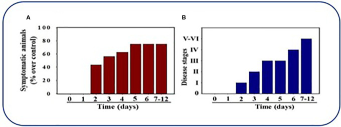 Figure 5