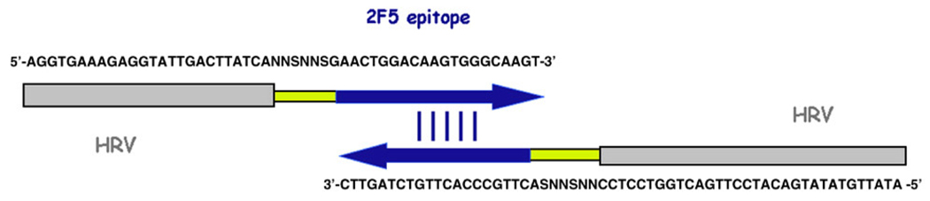 Fig. 5