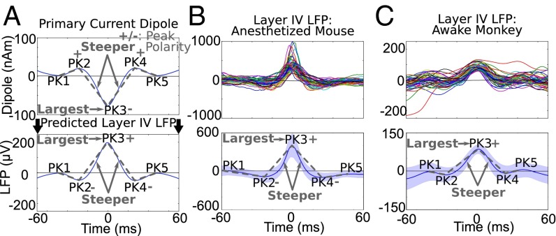 Fig. 8.