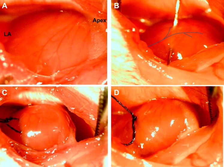 Fig. 3.