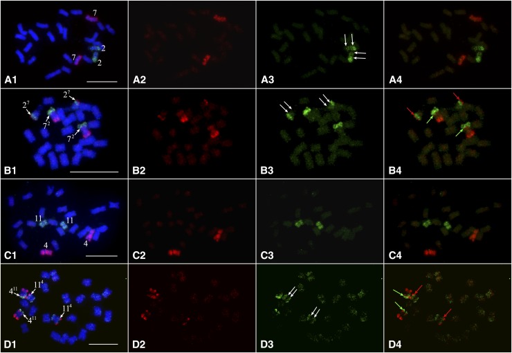 Figure 6