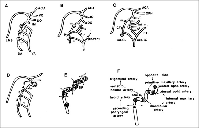 fig 2.