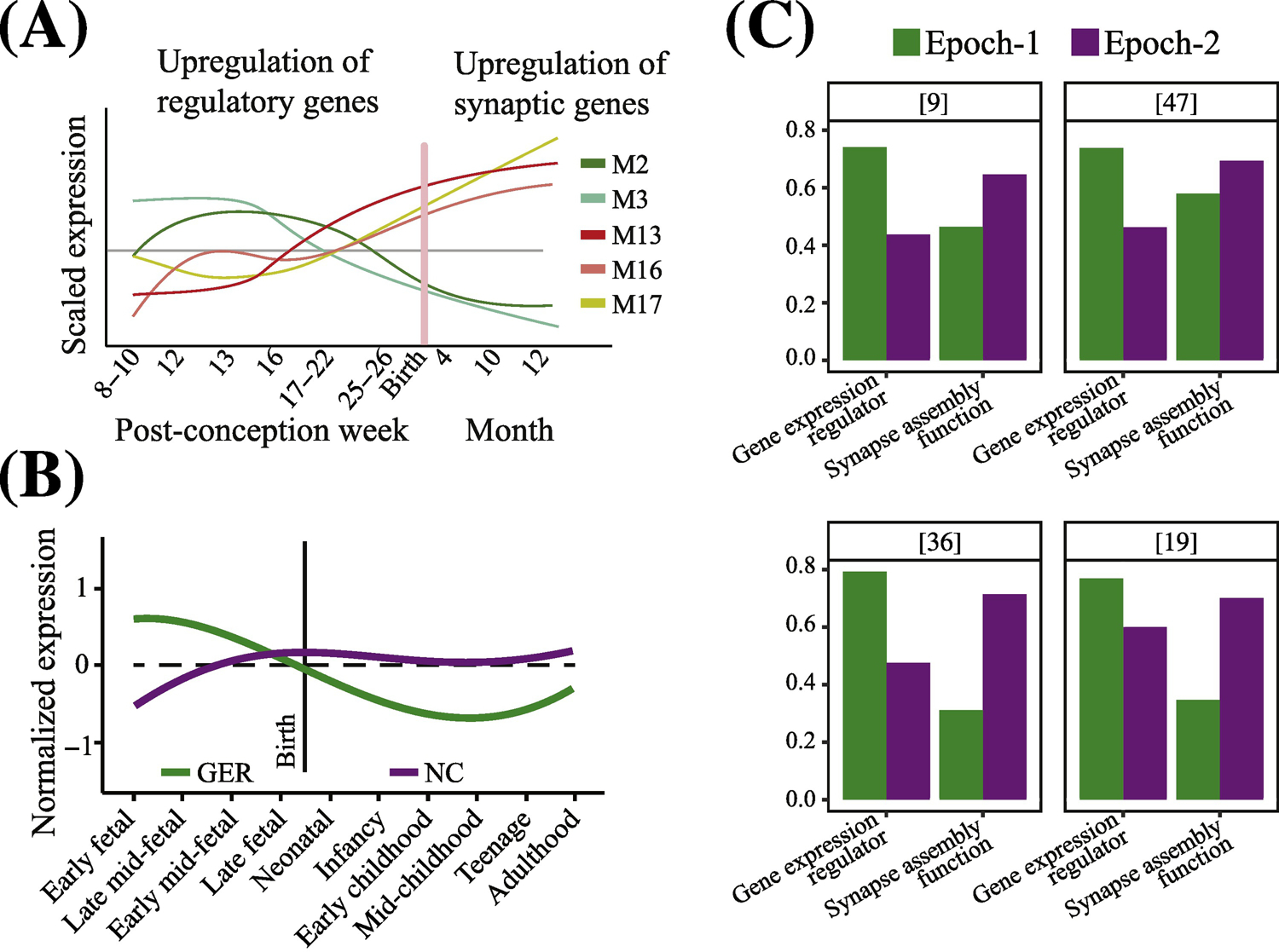 Figure 3.