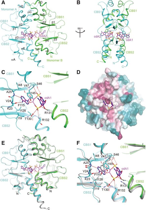 FIG 4