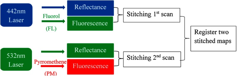 Fig. 2