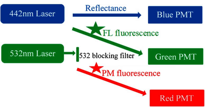 Fig. 4