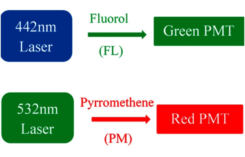 Fig. 1