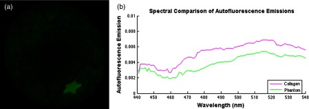 Fig. 14