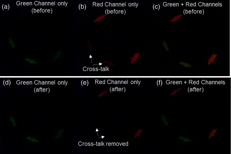 Fig. 11