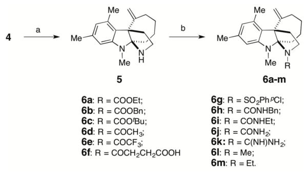 Scheme 1