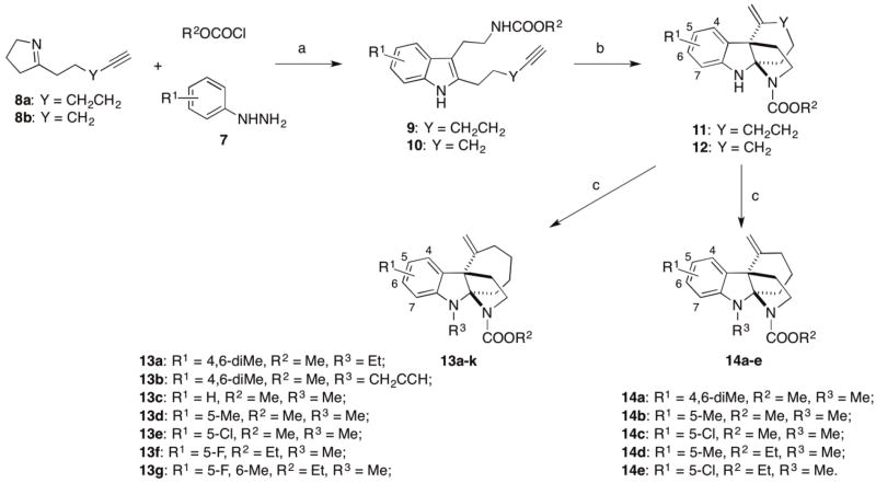 Scheme 2