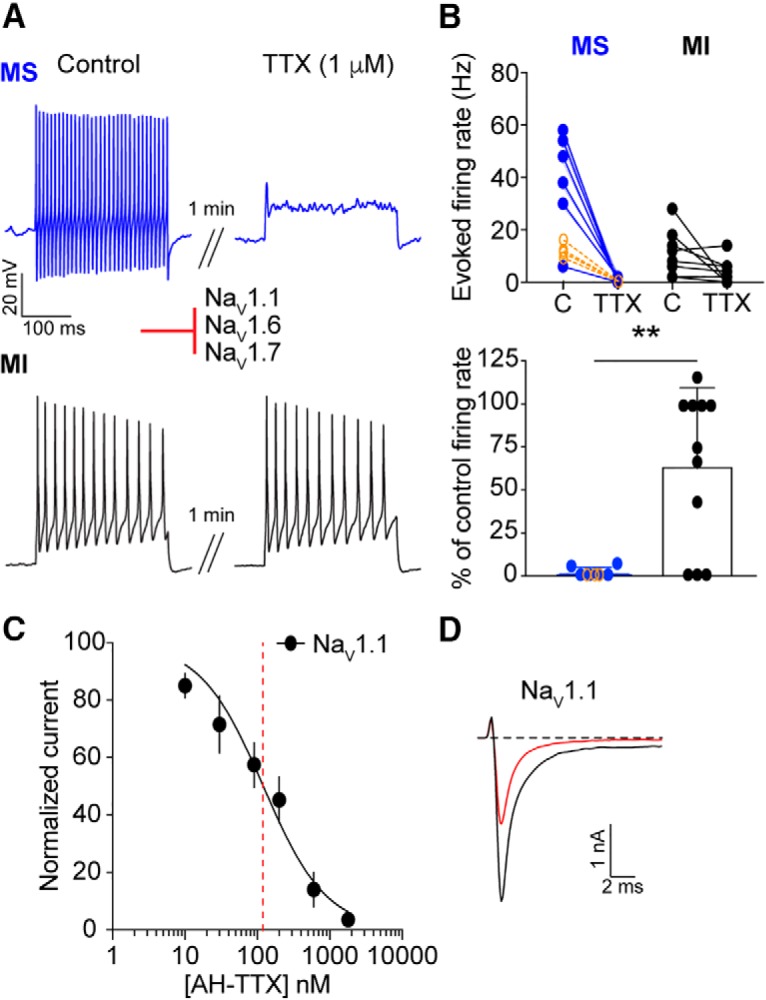 Figure 6.