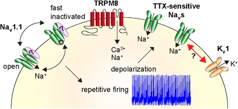 Figure 10.