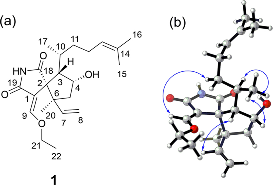 Figure 1.