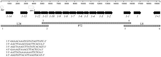 FIG. 1.