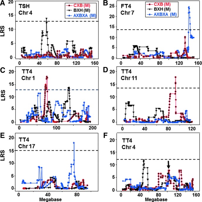 FIG. 2.