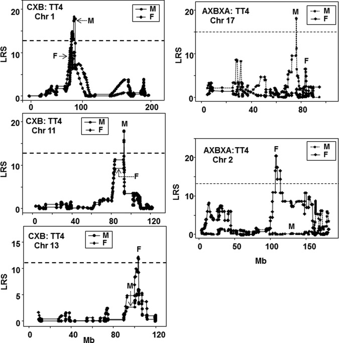 FIG. 4.