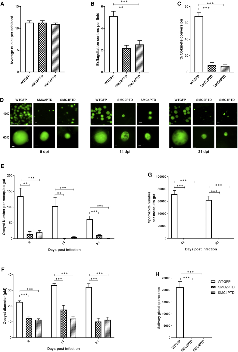 Figure 6