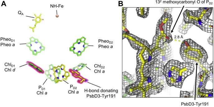 Figure 3