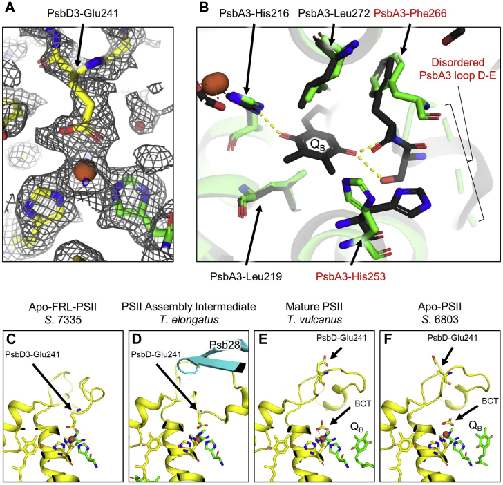 Figure 4