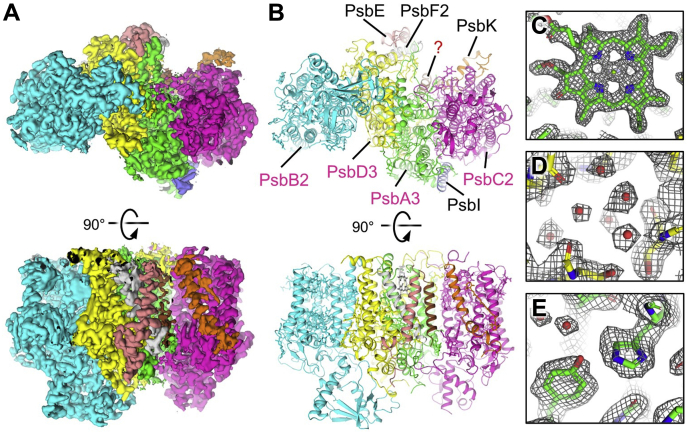 Figure 1