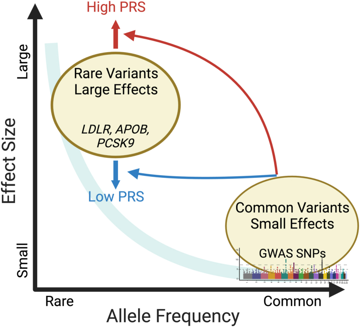 Figure 1