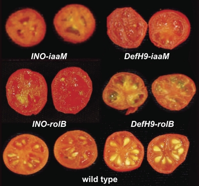 Fig. 2.