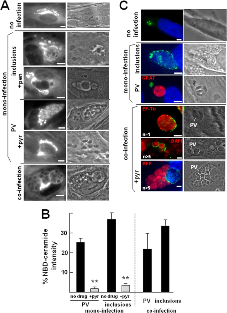 Fig 9