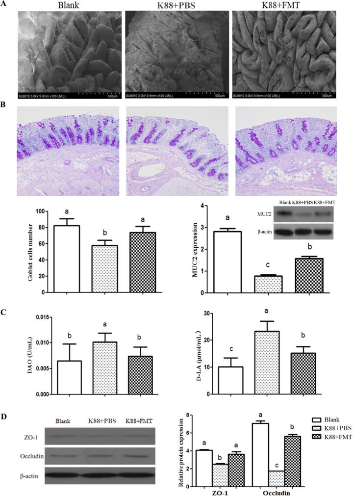 FIG 8