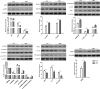 FIG 3