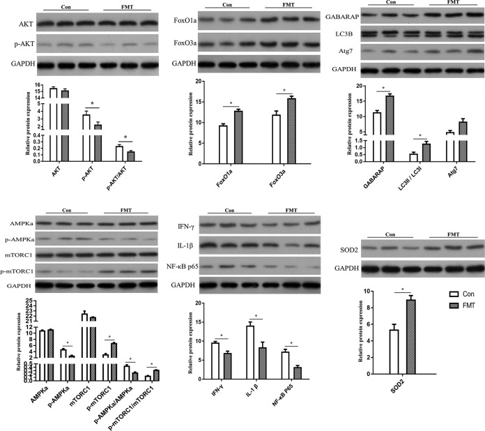 FIG 3