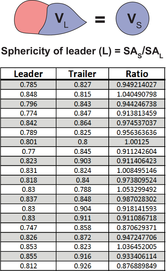 Figure 1—figure supplement 2.