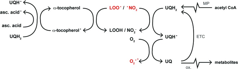 FIG. 5.