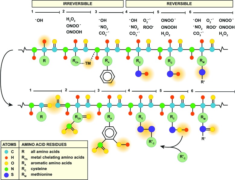 FIG. 6.