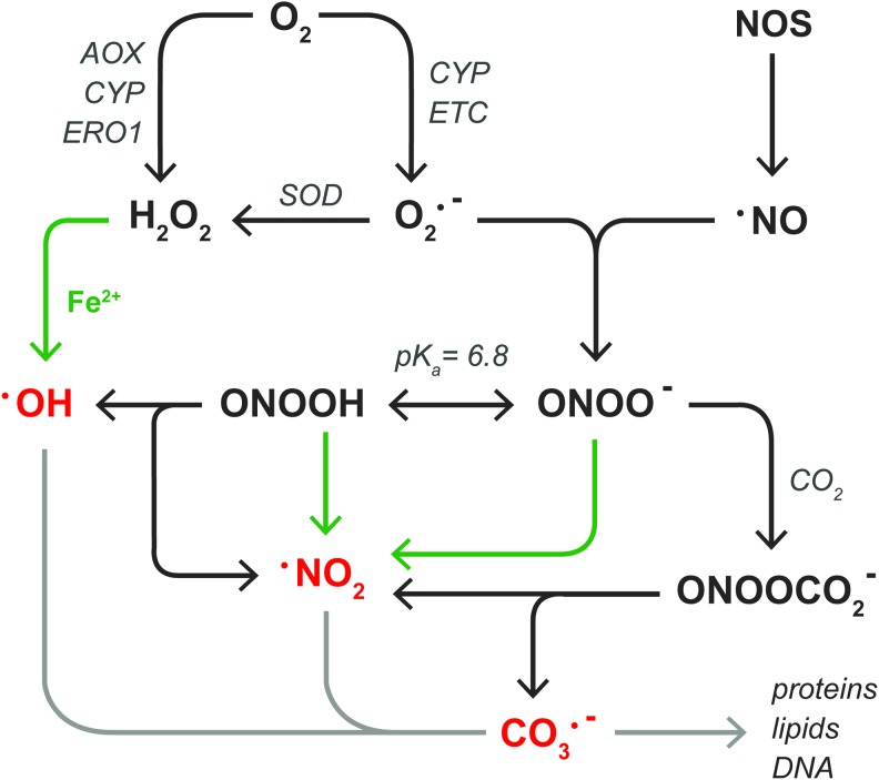 FIG. 3.