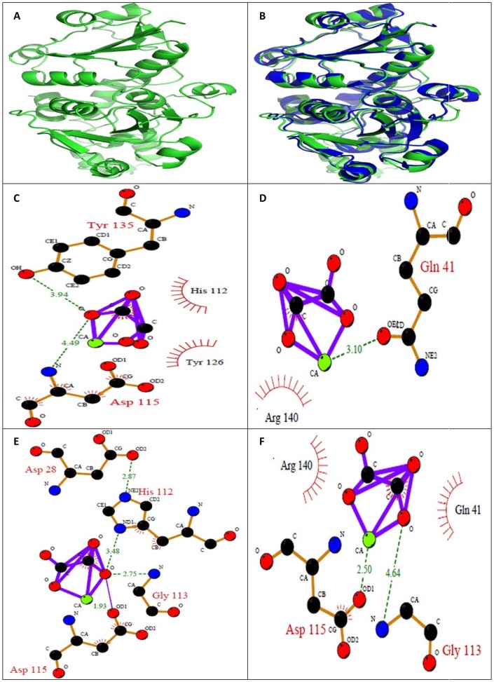 Figure 14